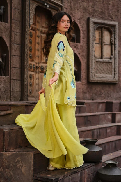 Aangan gulrez kurta set-nimbas rang