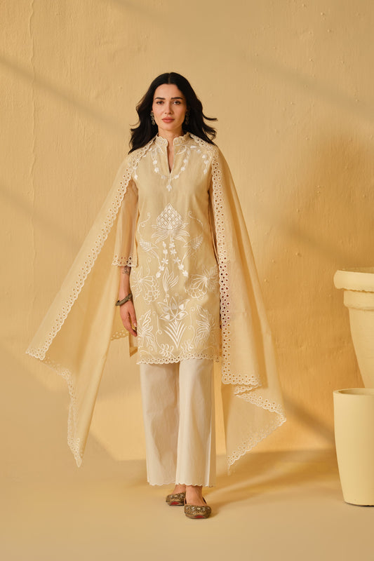SUFIANA HAZE BEIGE KURTA SET WITH DUPATTA