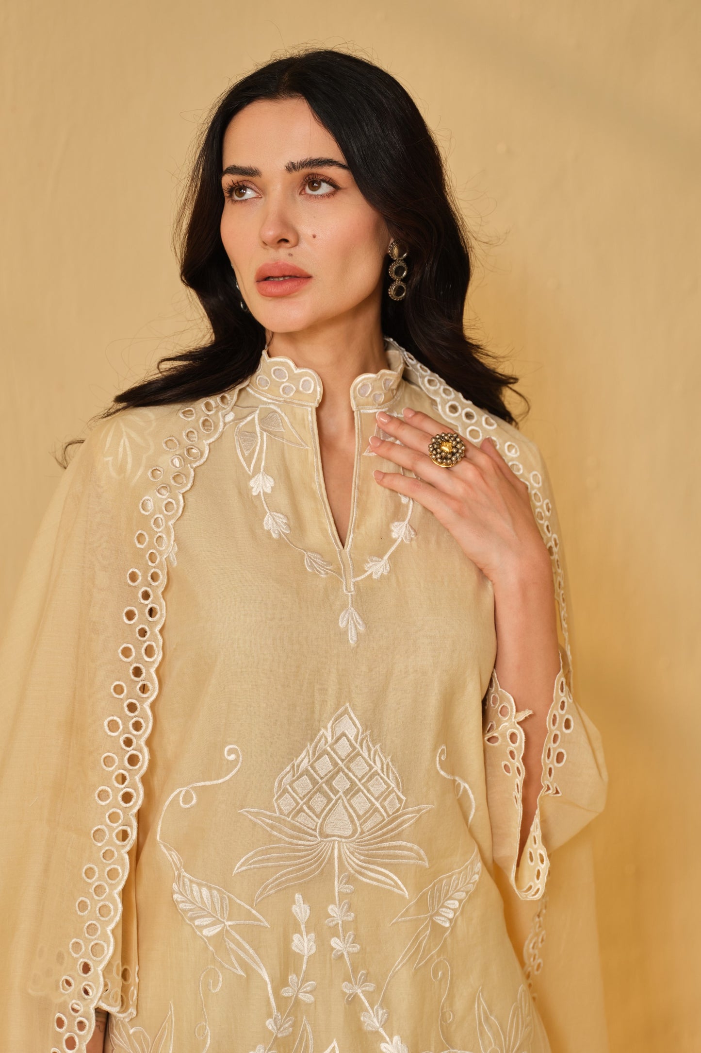 SUFIANA HAZE BEIGE KURTA SET WITH DUPATTA