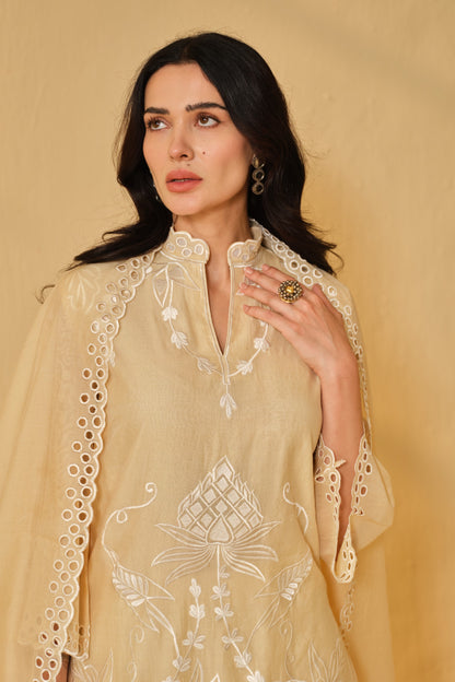 SUFIANA HAZE BEIGE KURTA SET WITH DUPATTA