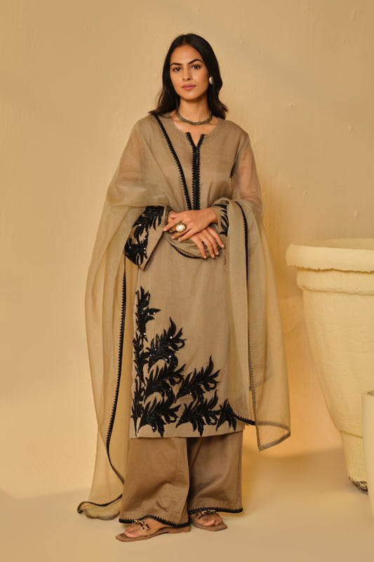 BLACK-BEIGE WORK ORGANZA KURTA SET